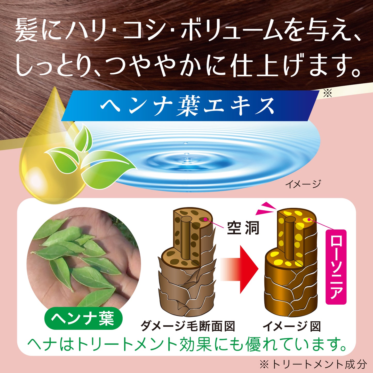 テンスターHena リタッチカラートリートメント