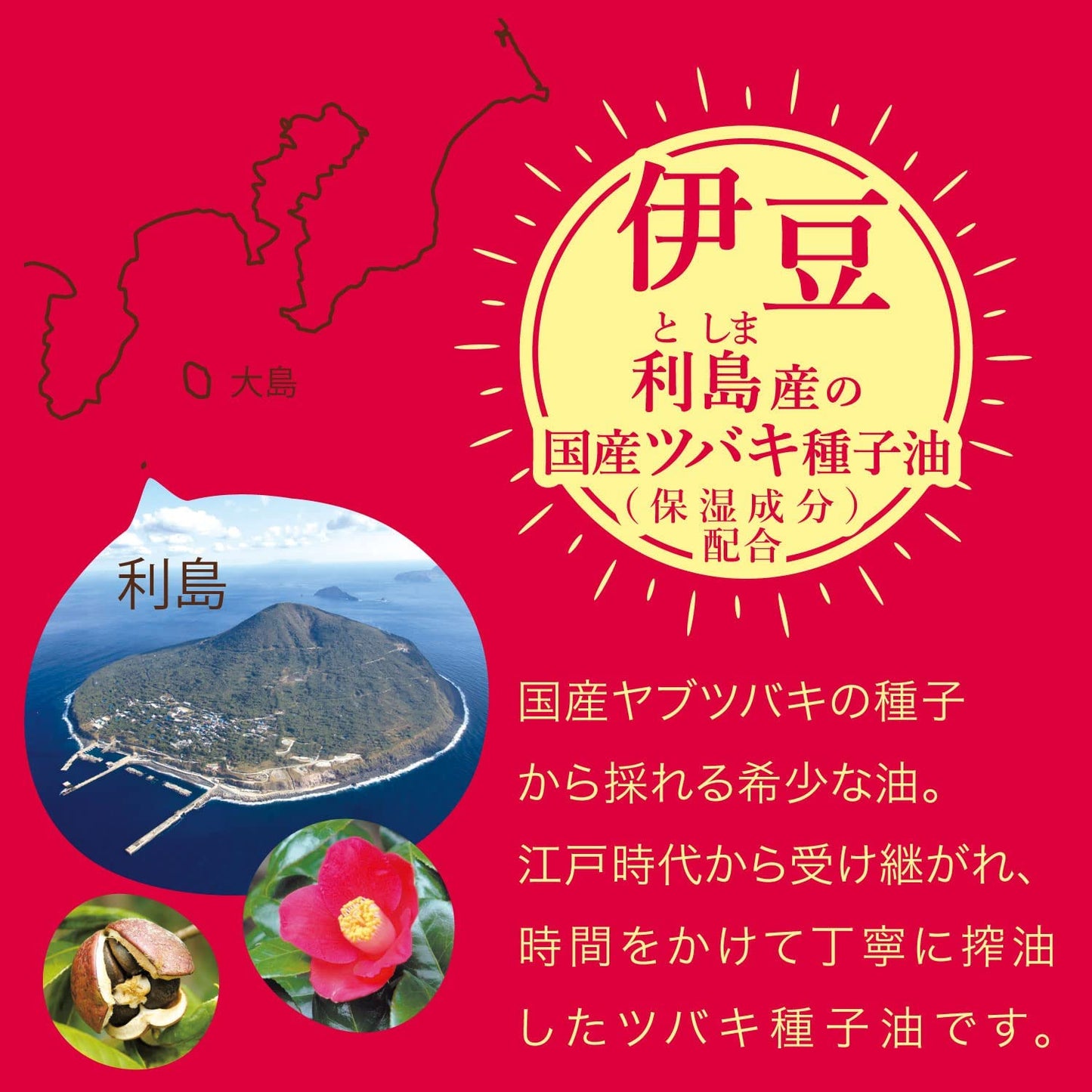 本島椿 純椿油プッシュタイプ 65ml