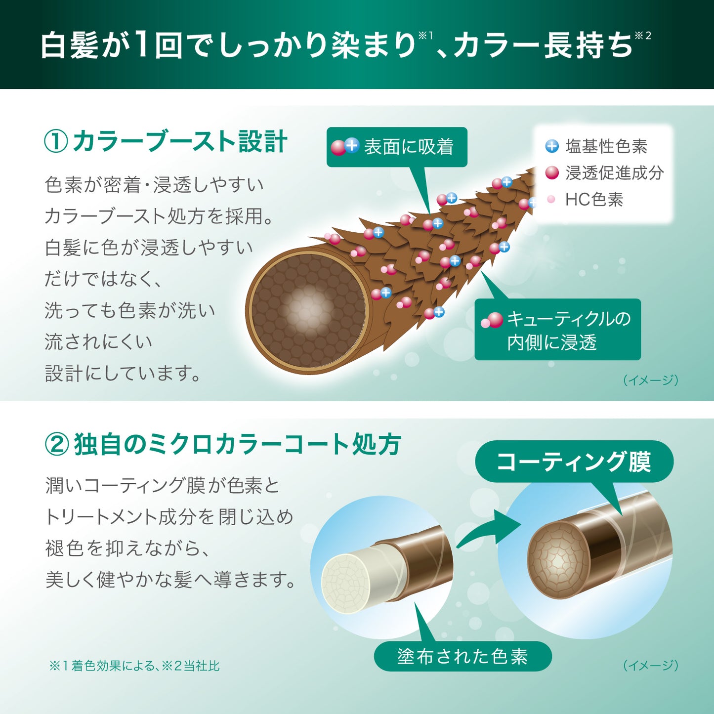 テンスターHenaプレミアム カラートリートメント