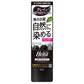 テンスターHena　FORMEN　カラーシャンプー