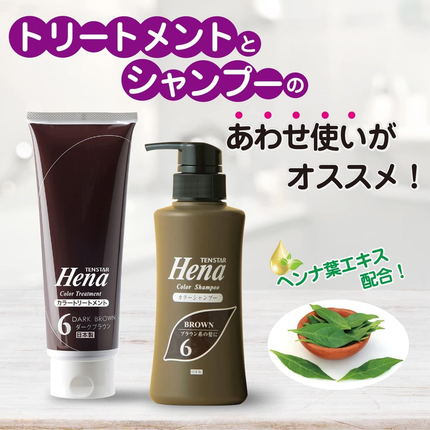 【アウトレット品】テンスターカラーシャンプーDBR＆カラートリートメントDBRブラシ付き