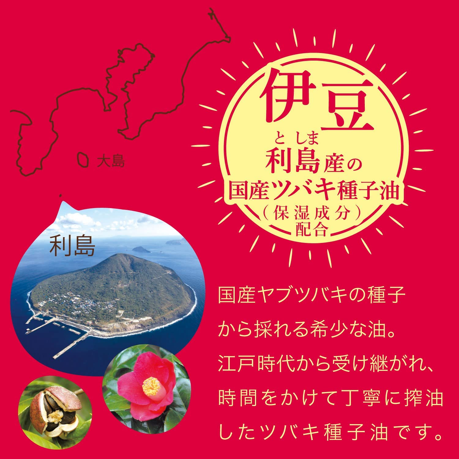 伊勢崎節子【赤い椿と萩焼】肉質画 油彩画 伊勢崎節子【赤い椿と萩焼】肉質画 油彩画 (funahashimotoyuki